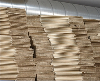 Paper & Paperboard