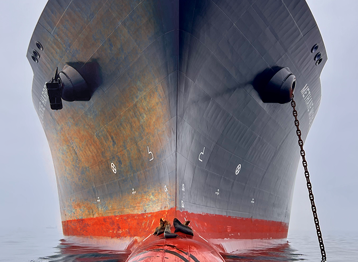 VP Nano-Dynamis Anti-Fouling Coating