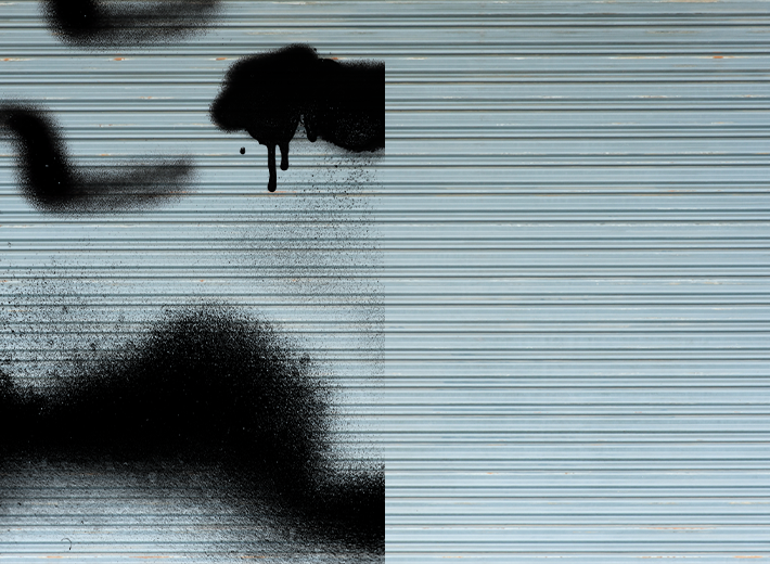 VP Nano-Dynamis Anti-Graffiti Coating