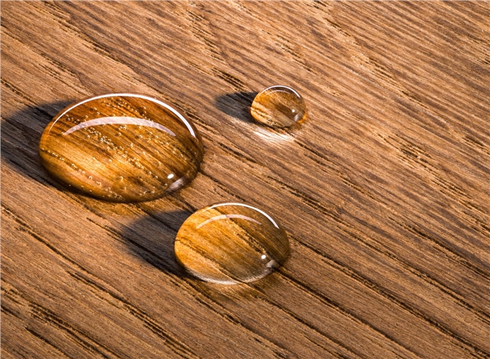 Termite Prevention and Flame Resistant Nano Coating for Wood