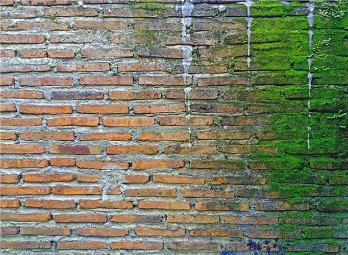 Moss Prevention Nanocoating For Stone Monuments and Statues