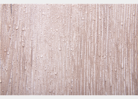 The Role of Wood Coatings in Preventing Moisture and Pest Damage The Role of Wood Coatings in Preventing Moisture and Pest Damage