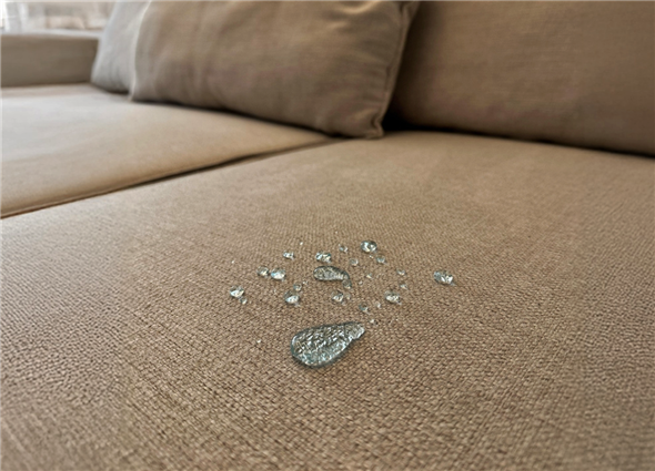 Why Your Couch Needs a Stain Protector Spray