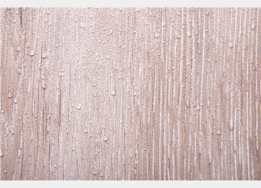 The Role of Wood Coatings in Preventing Moisture and Pest Damage
